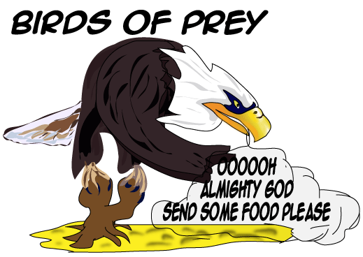 Birds