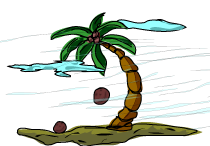 Coconut
